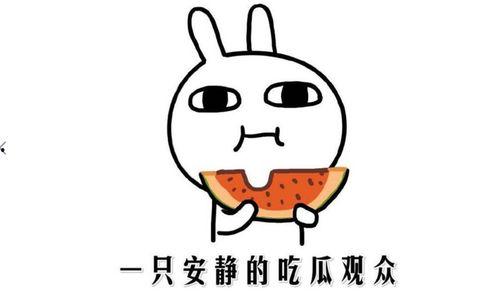 娱乐圈吃瓜的正确方法,轻松解锁明星八卦的正确姿势