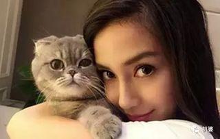 娱乐吃瓜猫咪视频大全,猫咪吃瓜视频大盘点